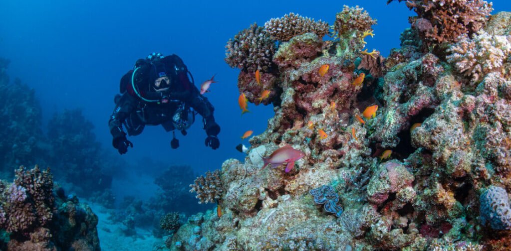 scruba diving